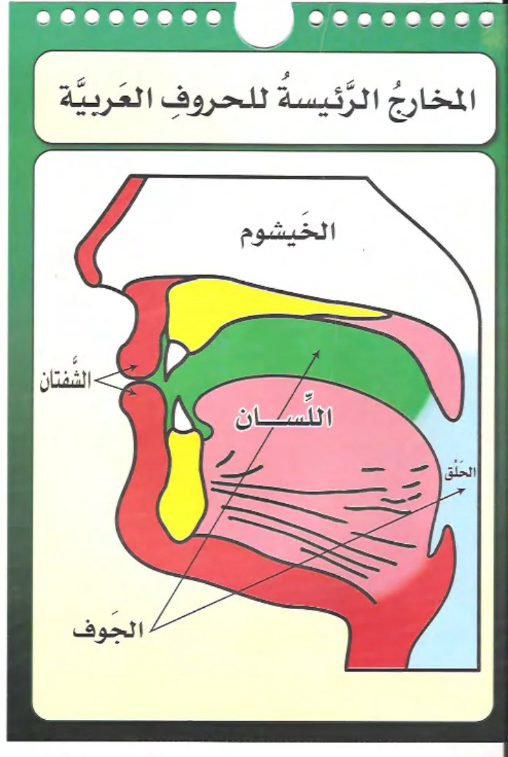 مخارج الحروف العربية The articulation points of the Arabic letters preview 5